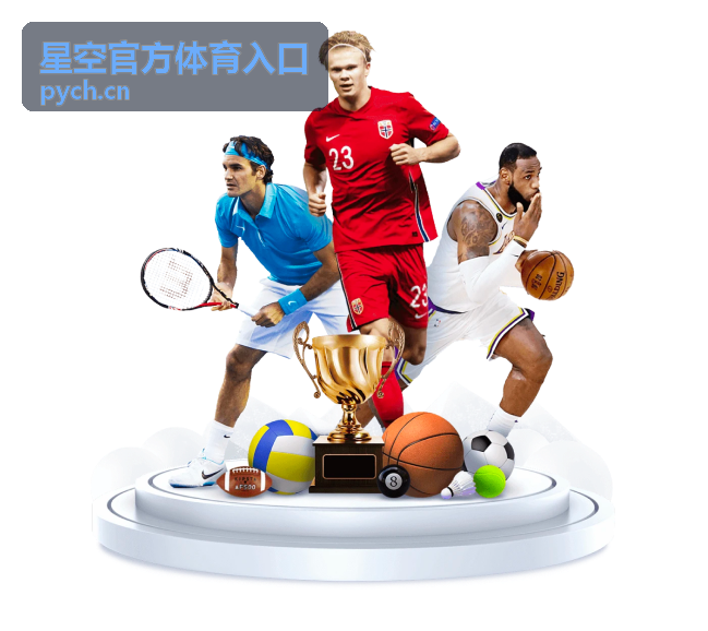 星空官方体育入口使用指南页面封面